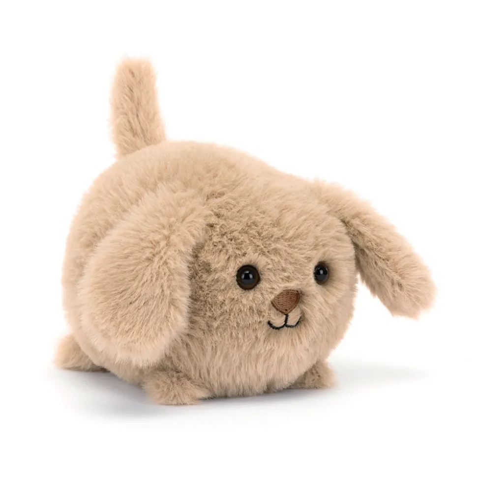 Caboodle Puppy