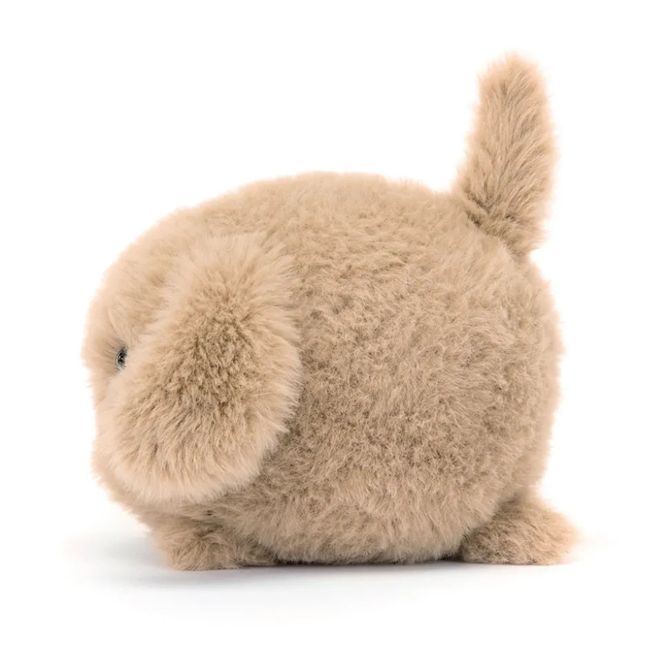 Caboodle Puppy