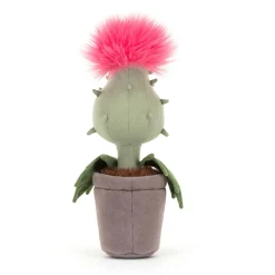 Carniflore Priscilla