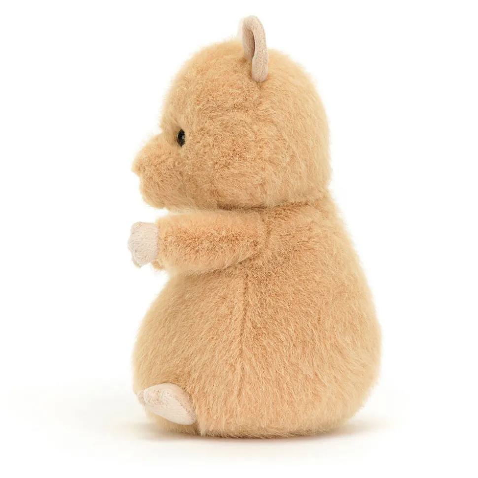 Hank Hamster