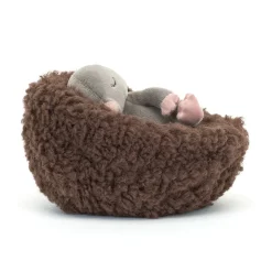 Hibernating Mole