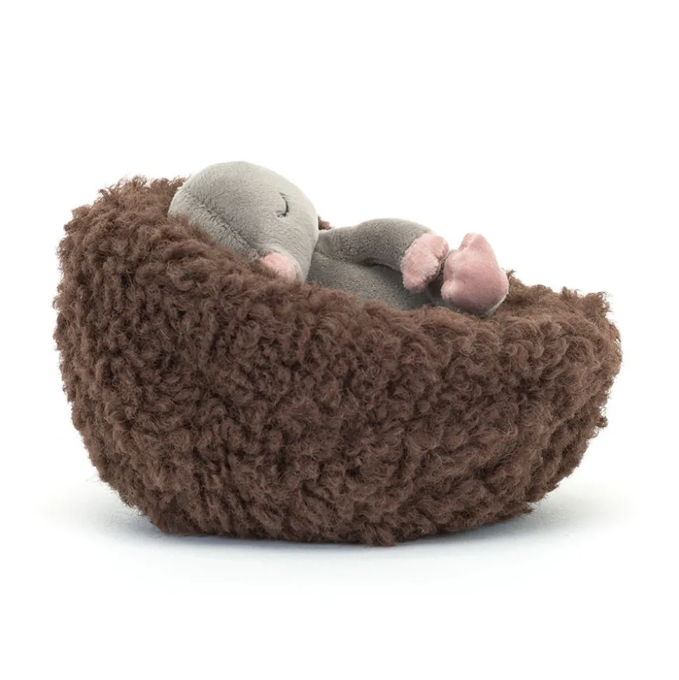 Hibernating Mole