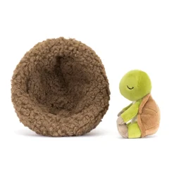 Hibernating Tortoise