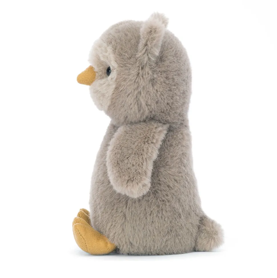 Nippit Owl