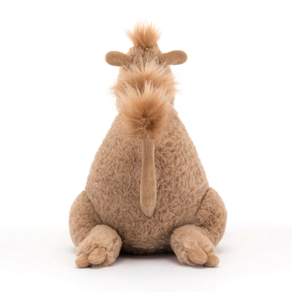 Richie Dromedary