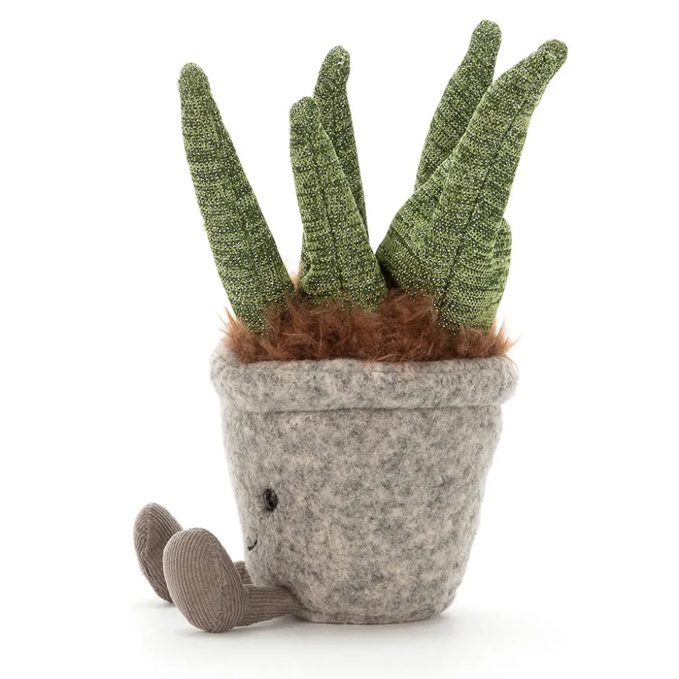 Silly Succulent Aloe