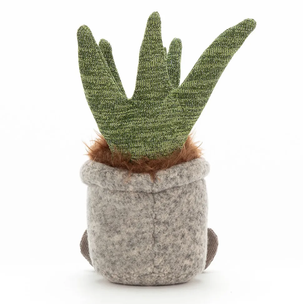 Silly Succulent Aloe