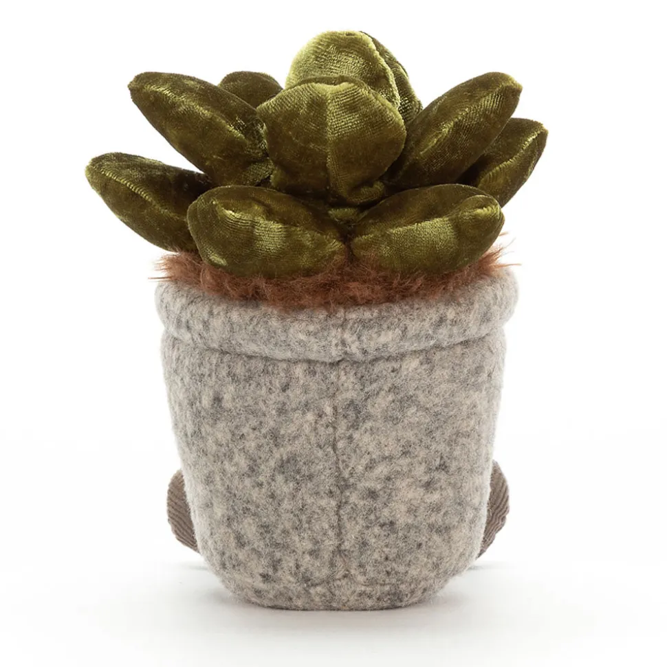 Silly Succulent Jade