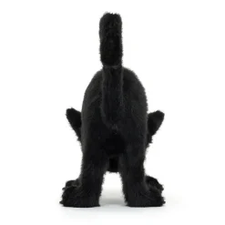 Spookipaws Cat