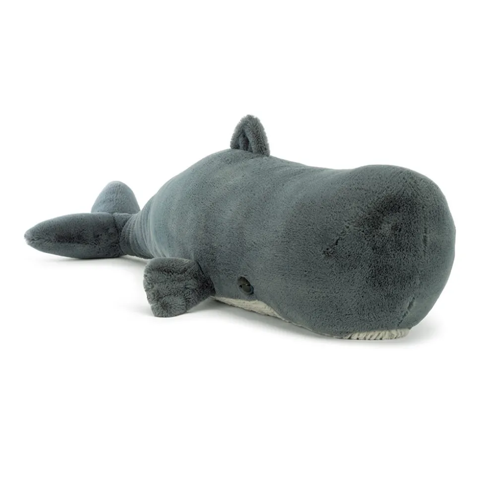 Sullivan the Sperm Whale