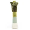 Vivacious Vegetable Leek