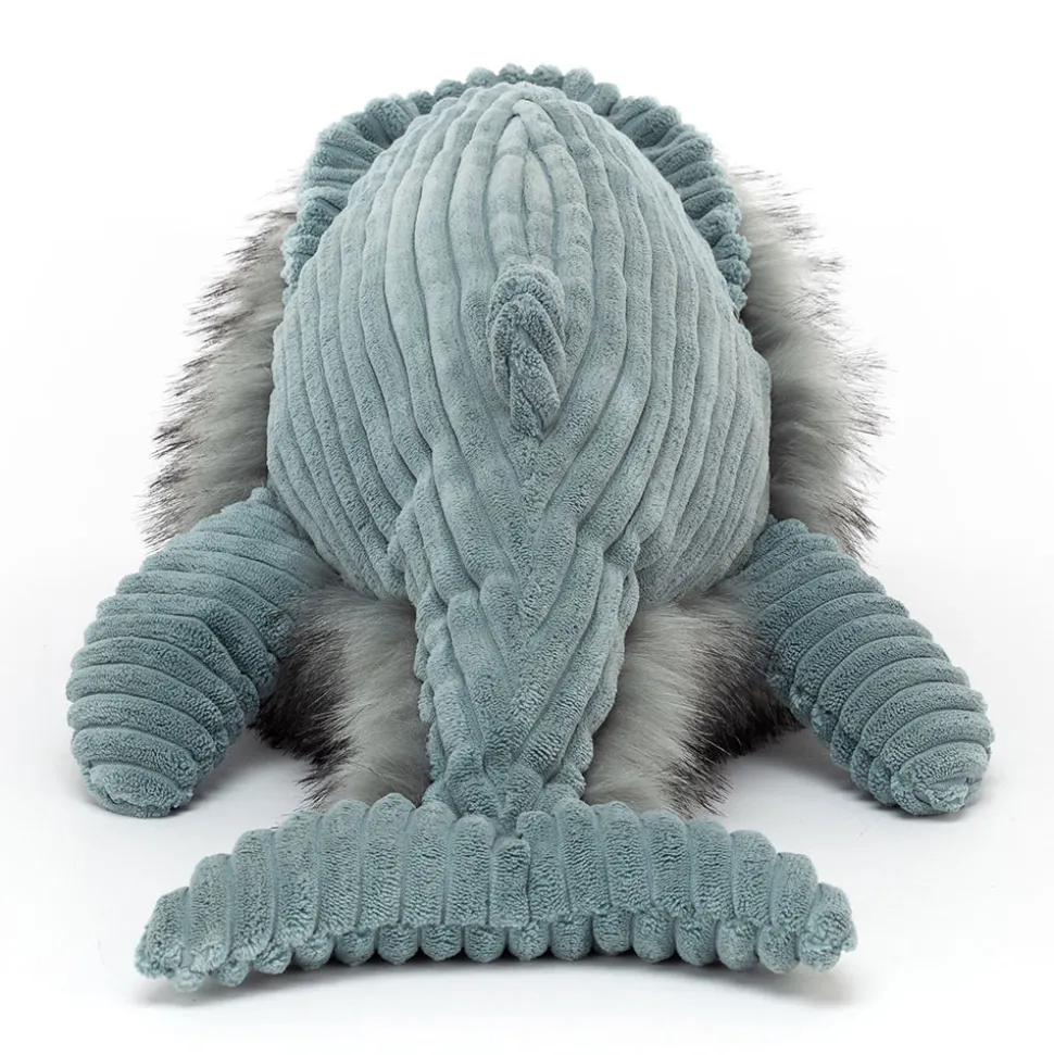 Wiley Whale
